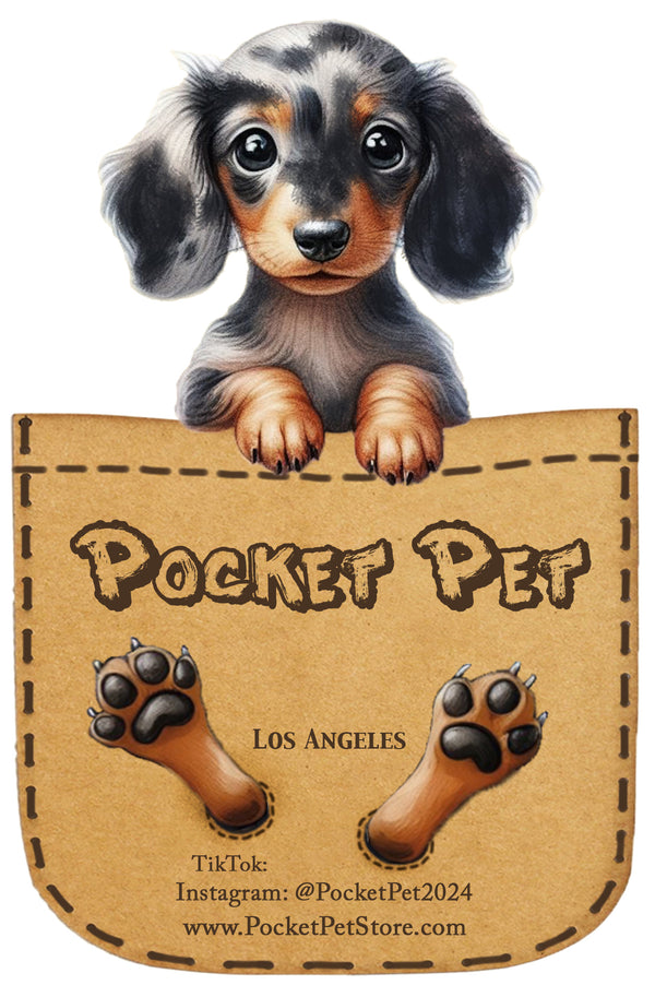 Pocket Pet